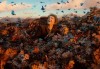 Hobbitul: Dezolarea lui Smaug